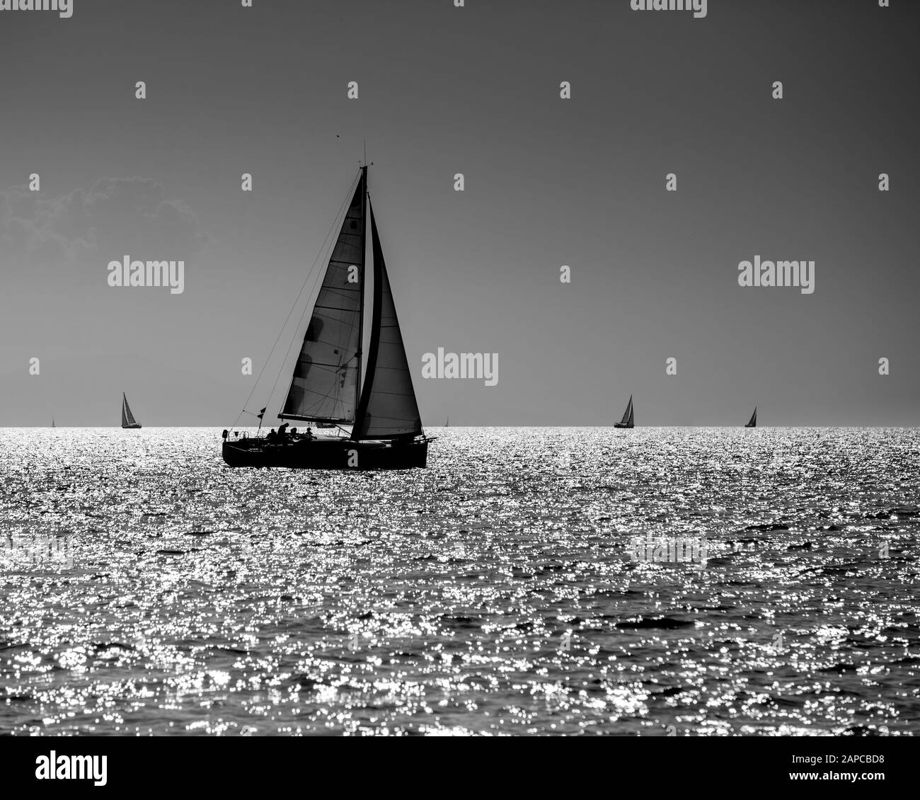 Black and white image yacht silhouette in high sea Stock Photo Alamy