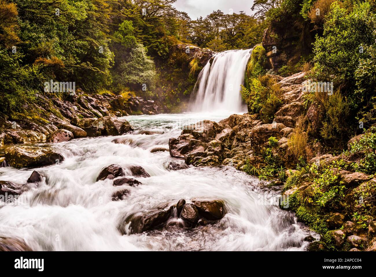 Tawhai falls hi-res stock photography and images - Alamy