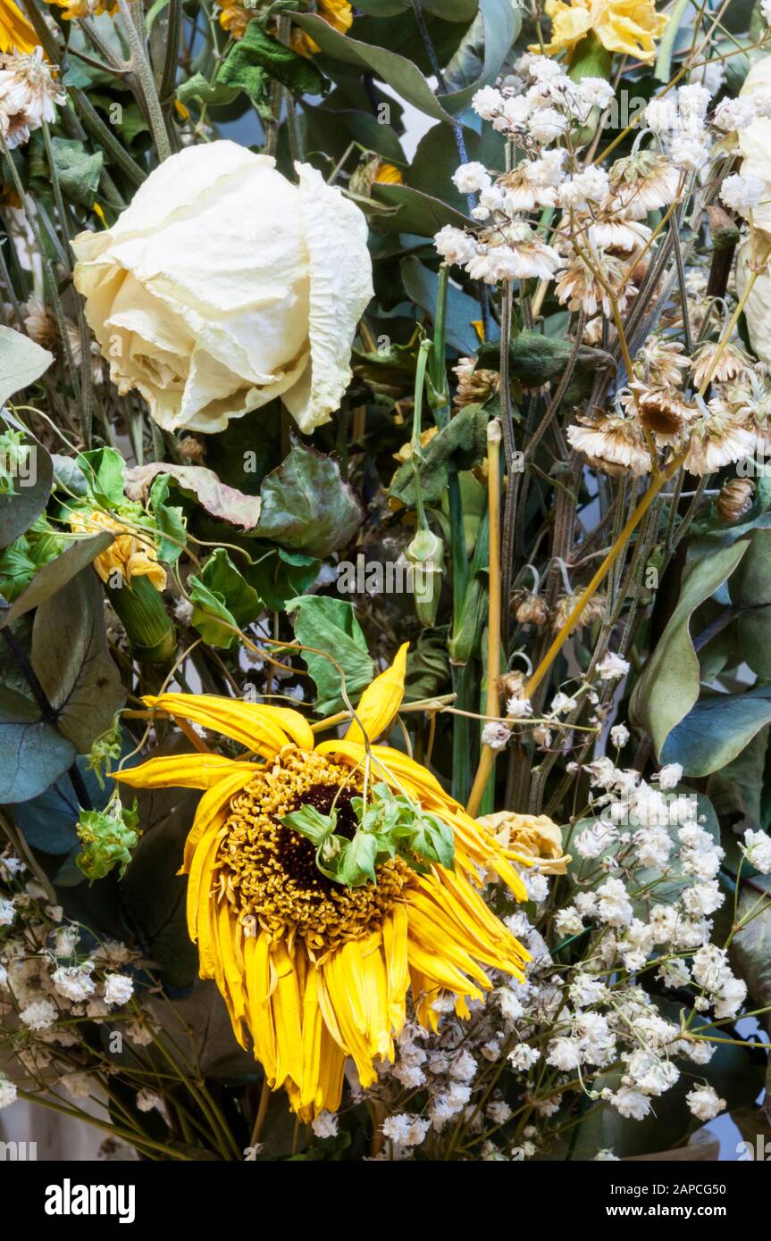 Dead bouquet hires stock photography and images Alamy