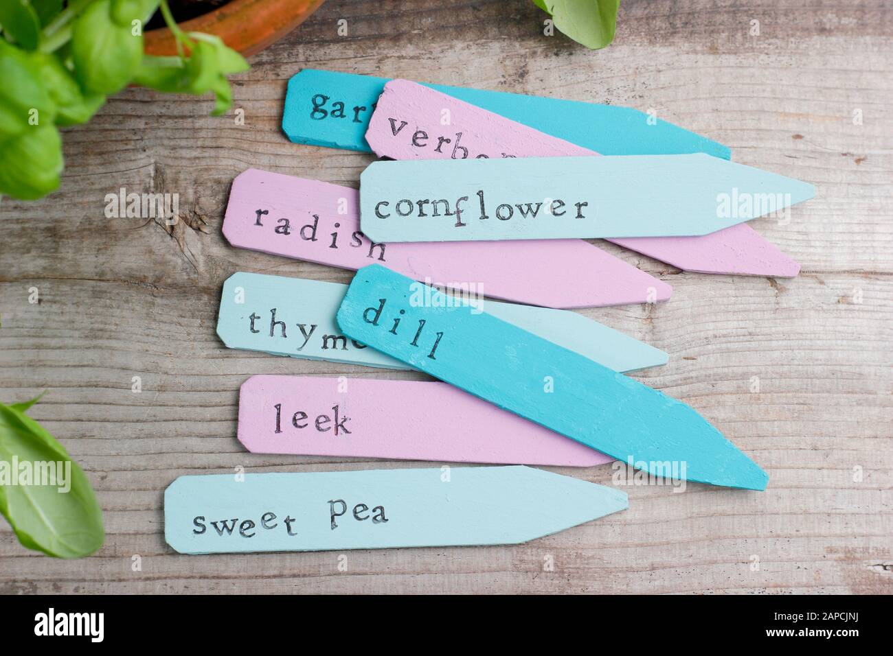 Wooden plant labels recycled using paint and a letter stamper. Stock Photo