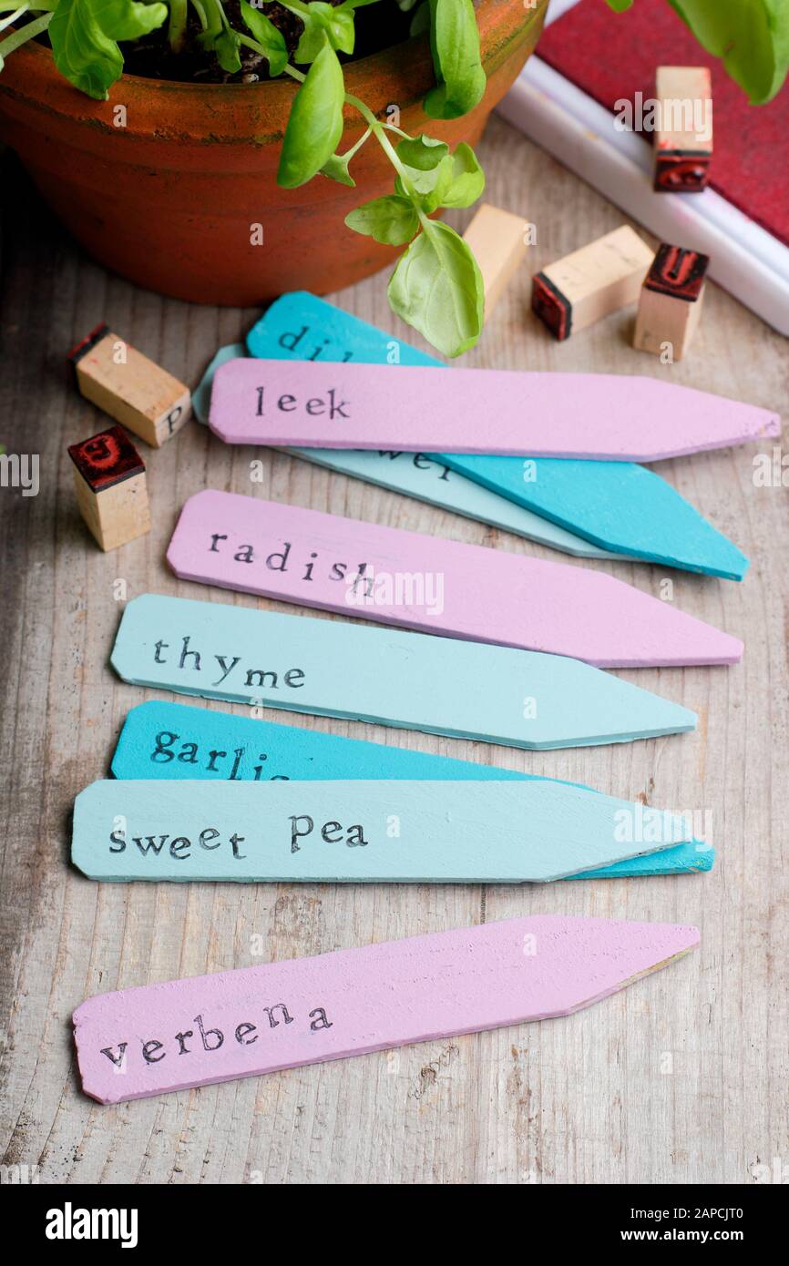 Recycling wooden plant labels using paints and a letter stamper. UK Stock Photo