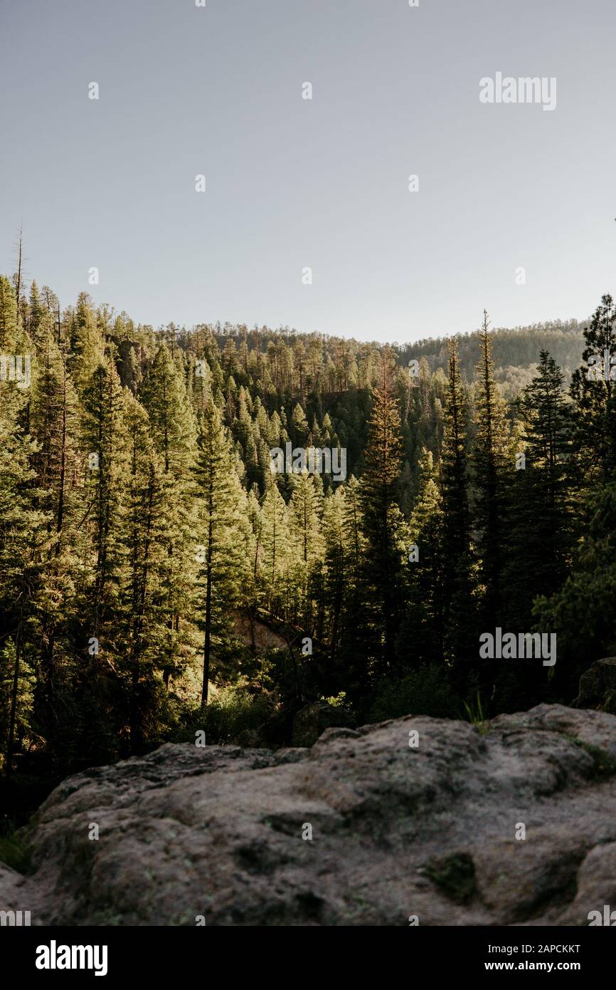 Sunset hike in the Jemez Mountains in Jemez Springs, New Mexico Stock Photo Alamy