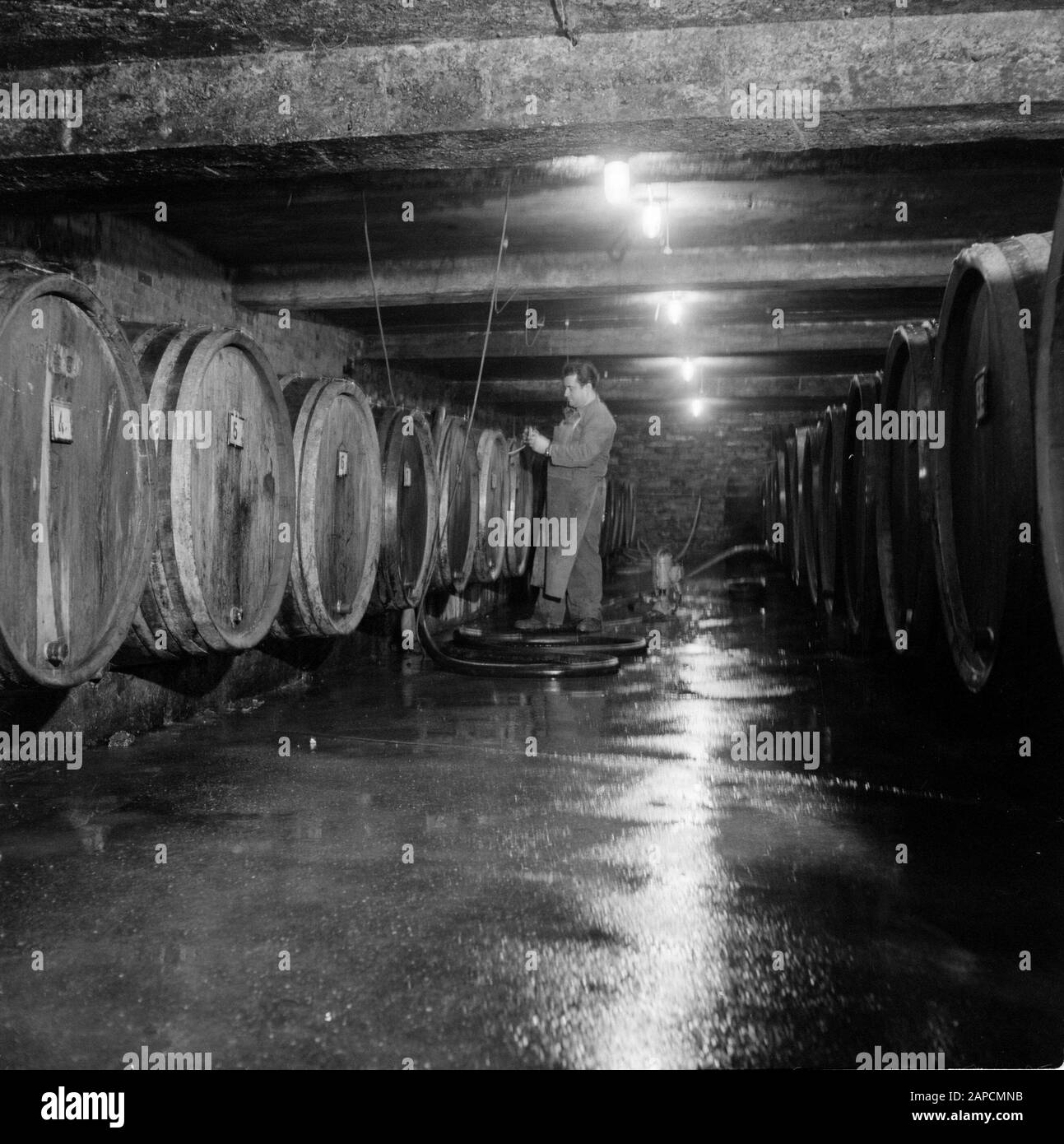 Moselle Viticulture Description Connecting a pump and hose to a wine