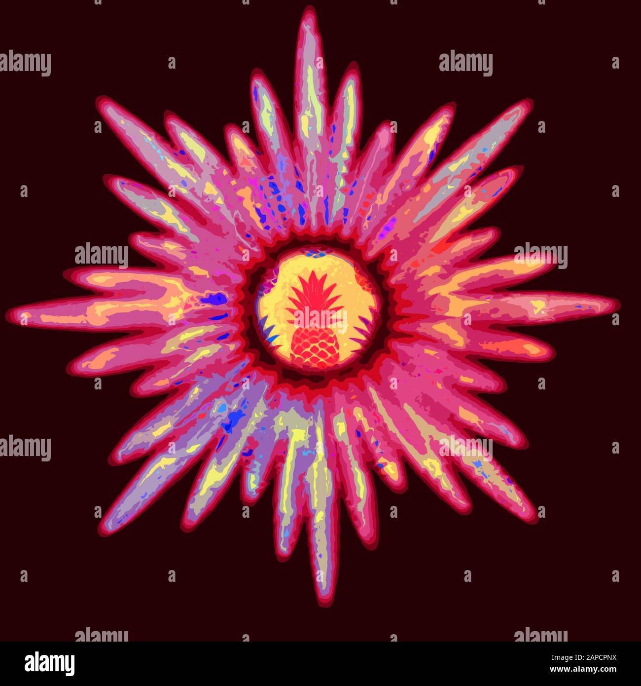 Pineapple star multicolour Stock Photo