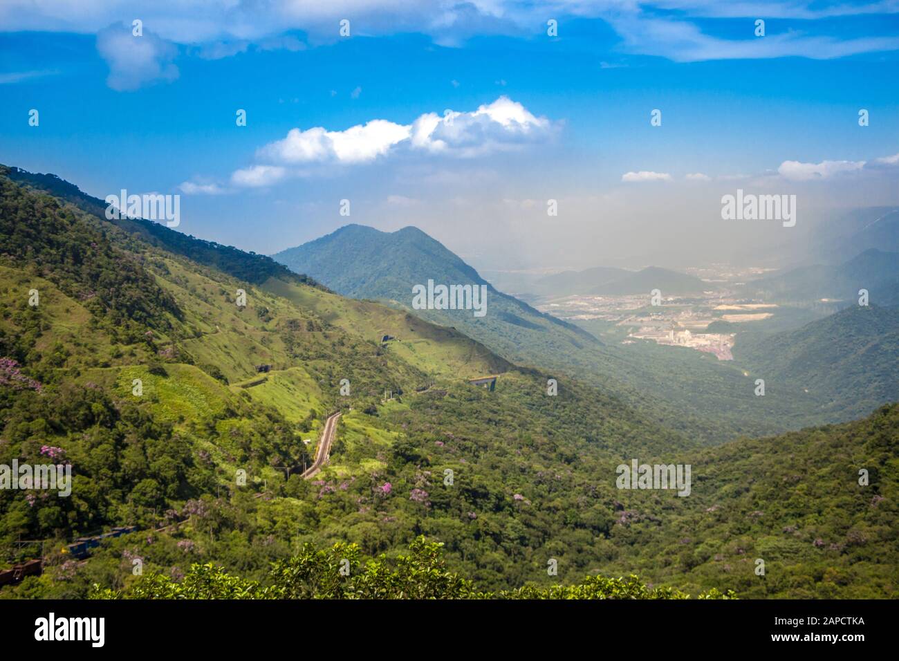 Aerial view of the jungle hi-res stock photography and images - Alamy