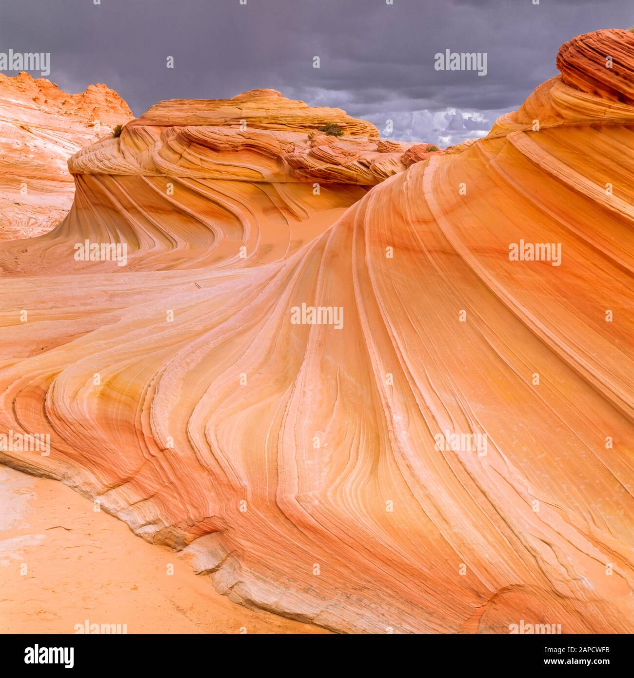 Top 28+ Stock Photos the wave paria canyon- vermillion cliffs, arizona usa Sharp