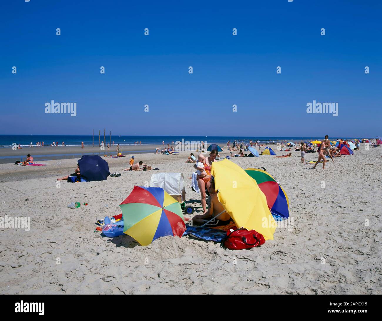 De Koog beach,  Texel Island, North Sea, Netherlands, Europe Stock Photo