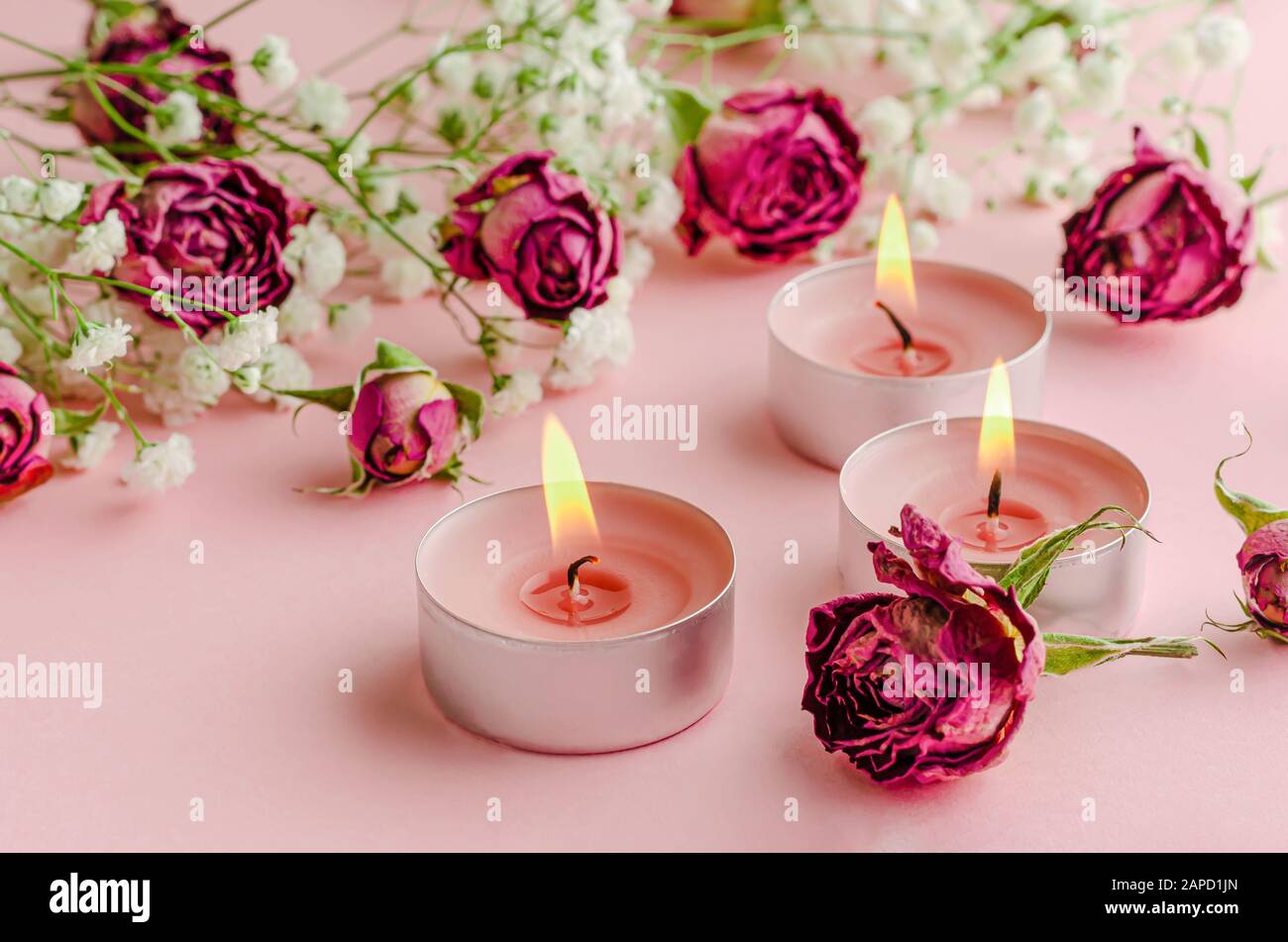 Burning aroma candles and dried roses on pink background. Aromatherapy and romance concept. Stock Photo