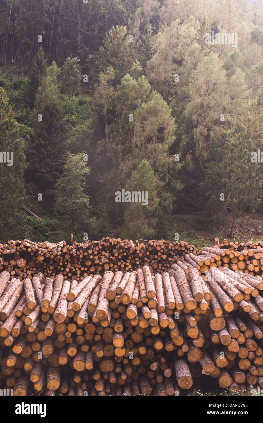 Deforestation Exmaple wood logs piled Stock Photo