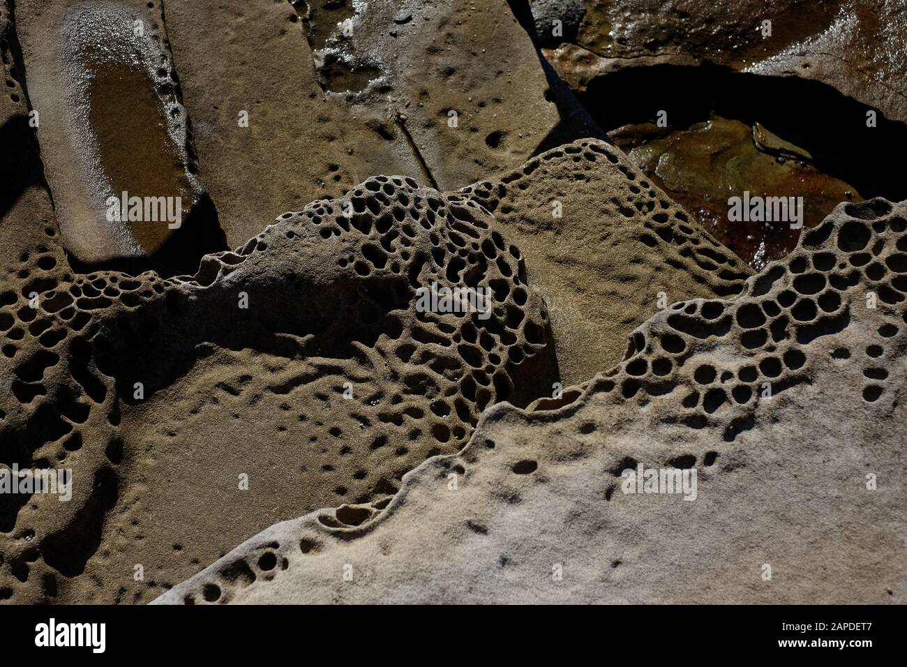 Steps carved into the rock shelf, organic shapes carved by nature and man at Mahon Ocean Pool, Maroubra, Sydney, Australia Stock Photo