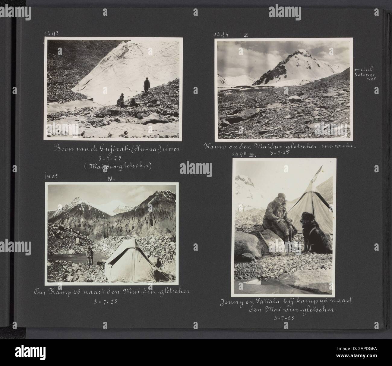 Photo Album Fisherman: Second Karakorum Expedition Description: Album sheet with four pictures. Top left: glacial tongue of the Maidur glacier, the source of the Gujirab (Hunza River respectively). Top right: camp site on the side moraine of the Maidur glacier. Bottom left: Camp 46 on the side moraine nests the Maidur glacier. Bottom right: Jenny Fishers-Hooft and Patiala for the tent in camp 46 next to the Maidur Glacier Annotation: The dog Patiala, a Tibetan mastiff, was a gift from the Maharaja of Patiala to Jenny Fisher-Hooft in 1925 Date: 1 January 1925 Location: Gujirab, Hunza, Karakorum Stock Photo