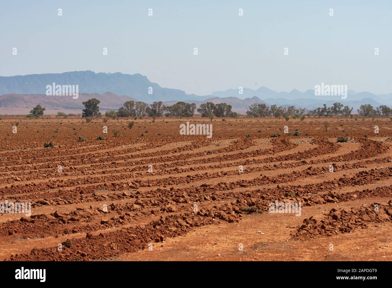 Eroded and overgrazed land has been furrowed to promote better water infiltration and regeneration, South Australia, Australia Stock Photo