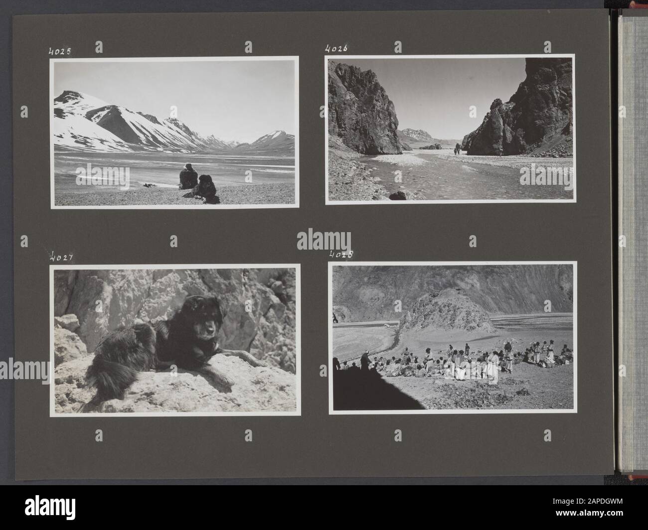 Photo Album Fisherman: Fourth Karakorum Expedition, 1935 Description: Album sheet with four photos. top left: View over the Depsang plateau. The dog Jesser, a Tibetan mastiff in the foreground. Top right: A gorge and river on the Depsang plateau. Bottom left: The dog Jesser, a Tibetan mastiff. Date: January 1, 1935 Location: China, Depsang plateau, India, Karakorum, Pakistan Keywords: dogs, campsites Stock Photo