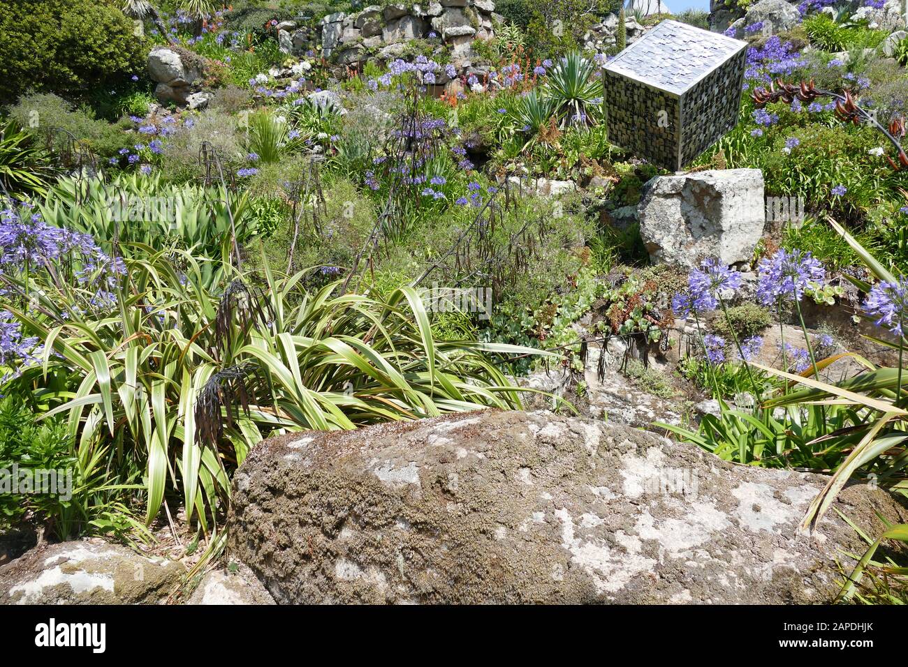 Tresco Abbey Gardens, Isles of Scilly, U.K Stock Photo Alamy Tresco Abbey Gardens, Isles of Scilly, U.K Stock Photo Alamy