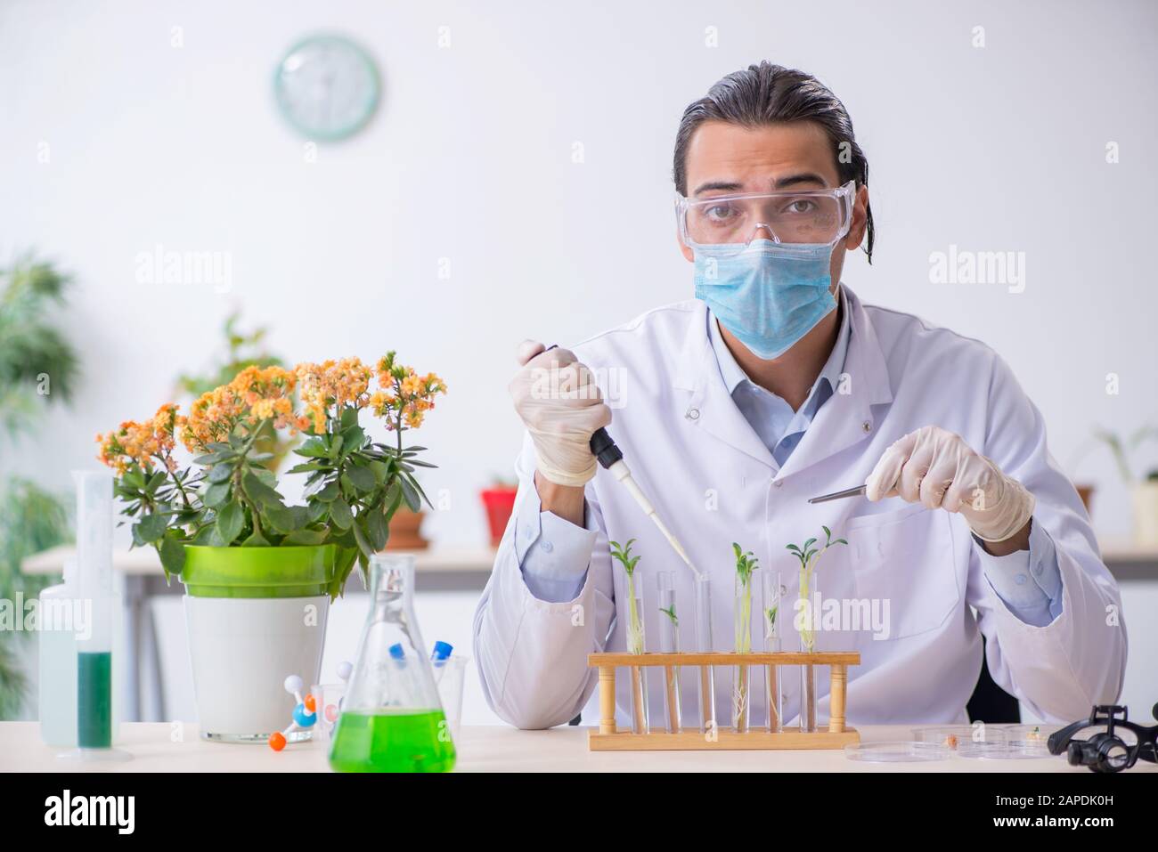 The young male chemist working in the lab Stock Photo