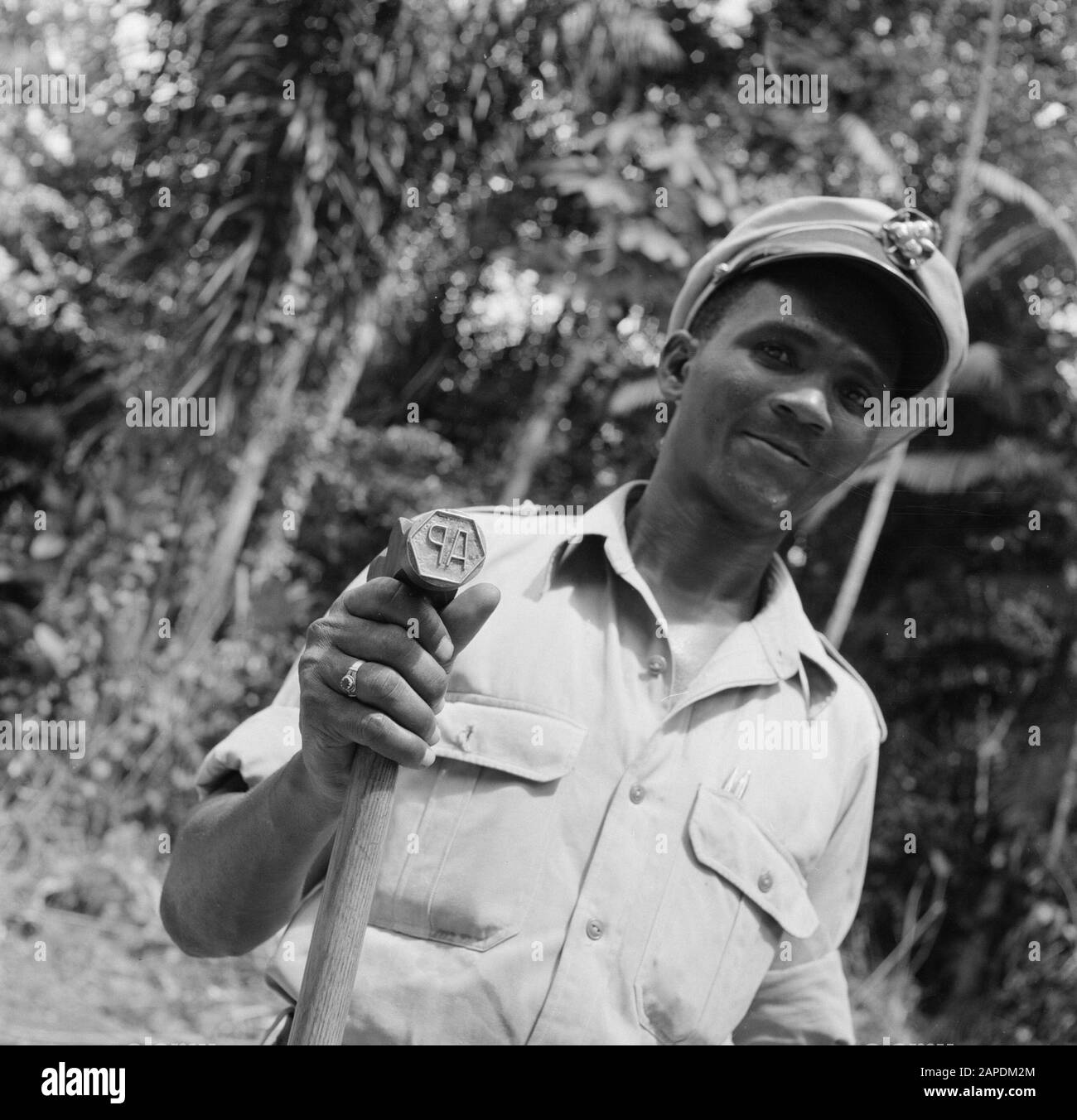 Netherlands Antilles and Suriname at the time of the royal visit of Queen Juliana and Prince Bernhard in 1955 Description: Tax Officer with stamp Date: 1 October 1955 Location: Suriname Keywords: officials, taxes, wood, industry, stamps Stock Photo