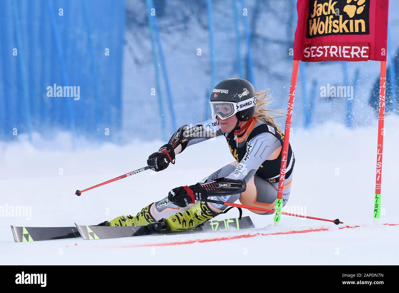 norbye kaja (nor) during SKY World Cup - Parallel Giant Slalom Women,  Sestriere, Italy, 19 Jan 2020, Winter Sports Ski Stock Photo - Alamy