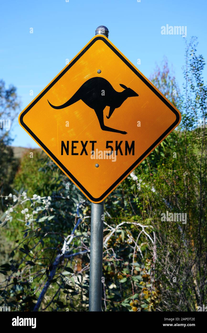 SAN DIEGO, CA -4 JAN 2020- View of the San Diego Zoo Safari Park
