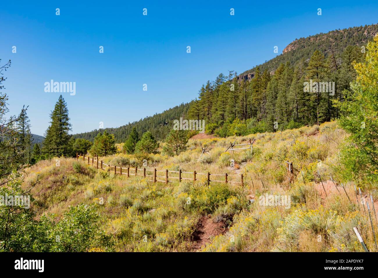 Morning view of the beautiful Valles Caldera National Preserve area at New Mexico Stock Photo