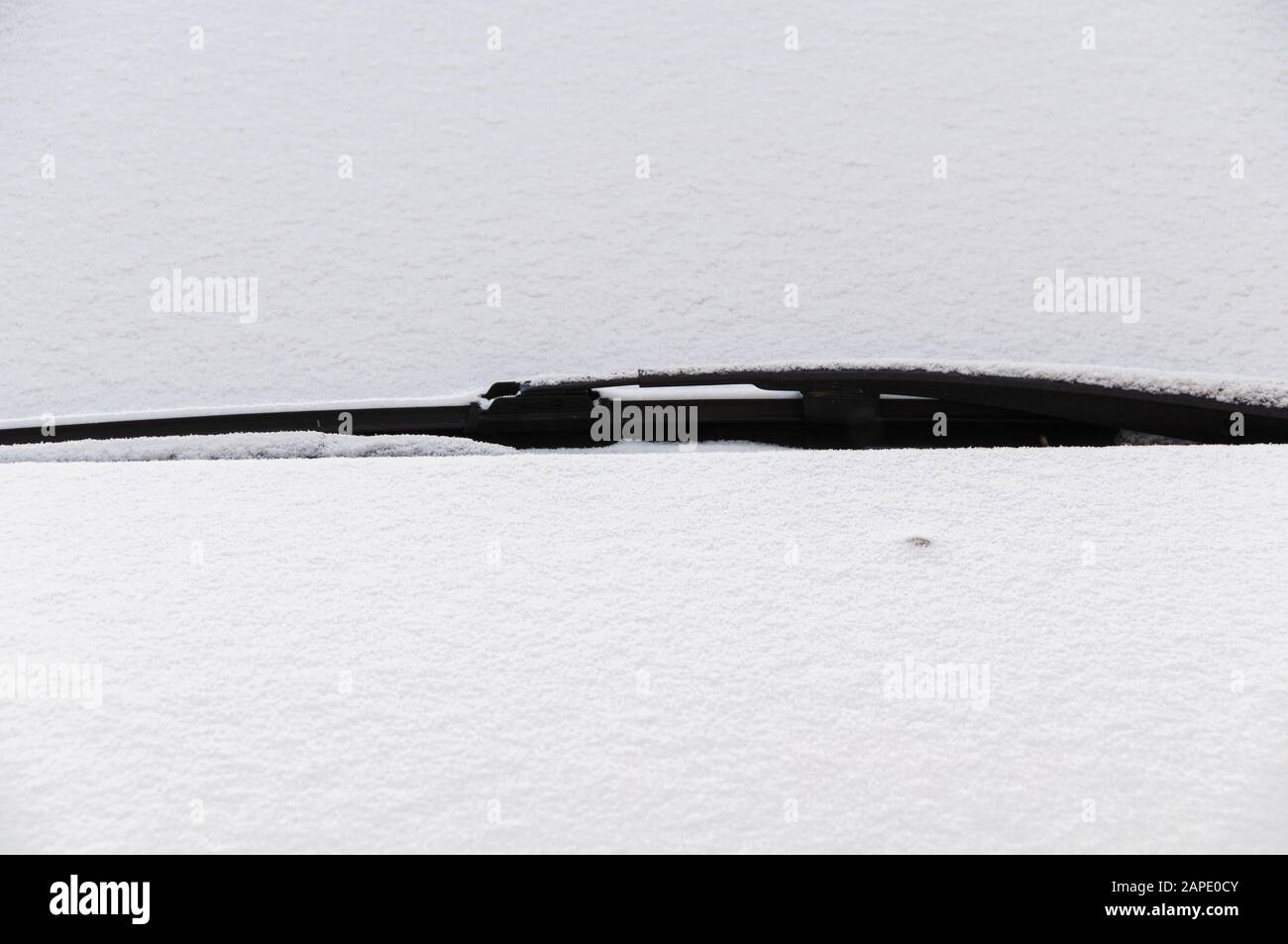 Snow covered car hood and windshield wipers Stock Photo