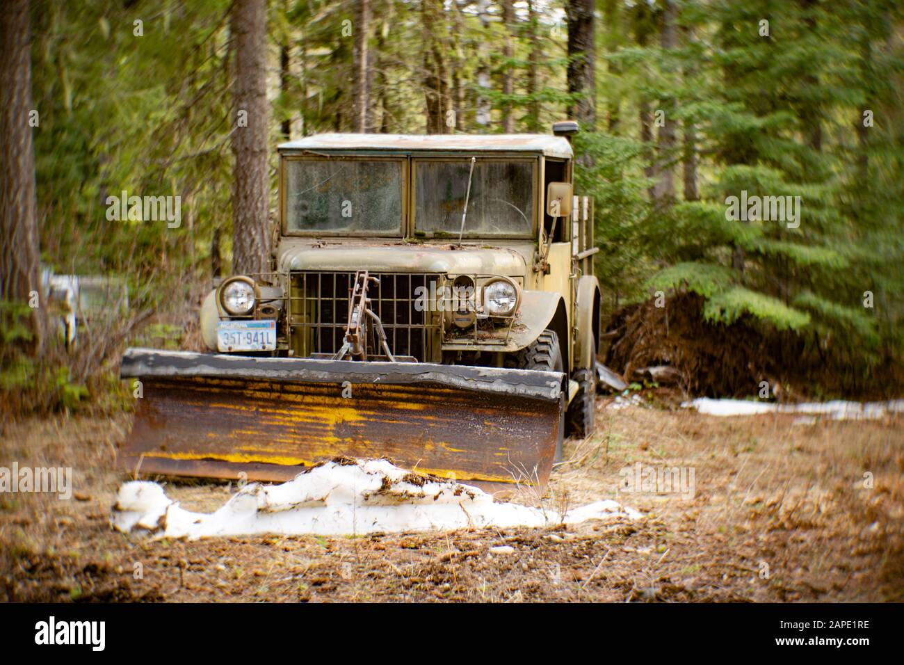 A 1953 Dodge M37 ​3/4-ton 4x4 truck (G741), with an attached snow plow, in a wooded area, in Noxon, Montana. Stock Photo