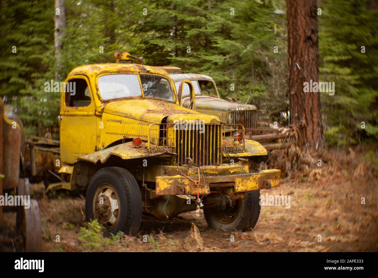 A US Military WW II M-5H-6 International Harvester 2 1/2 Ton 6x6 Cargo Truck (G-651), in a wooded area of Noxon, Montana. After the World War II ended Stock Photo