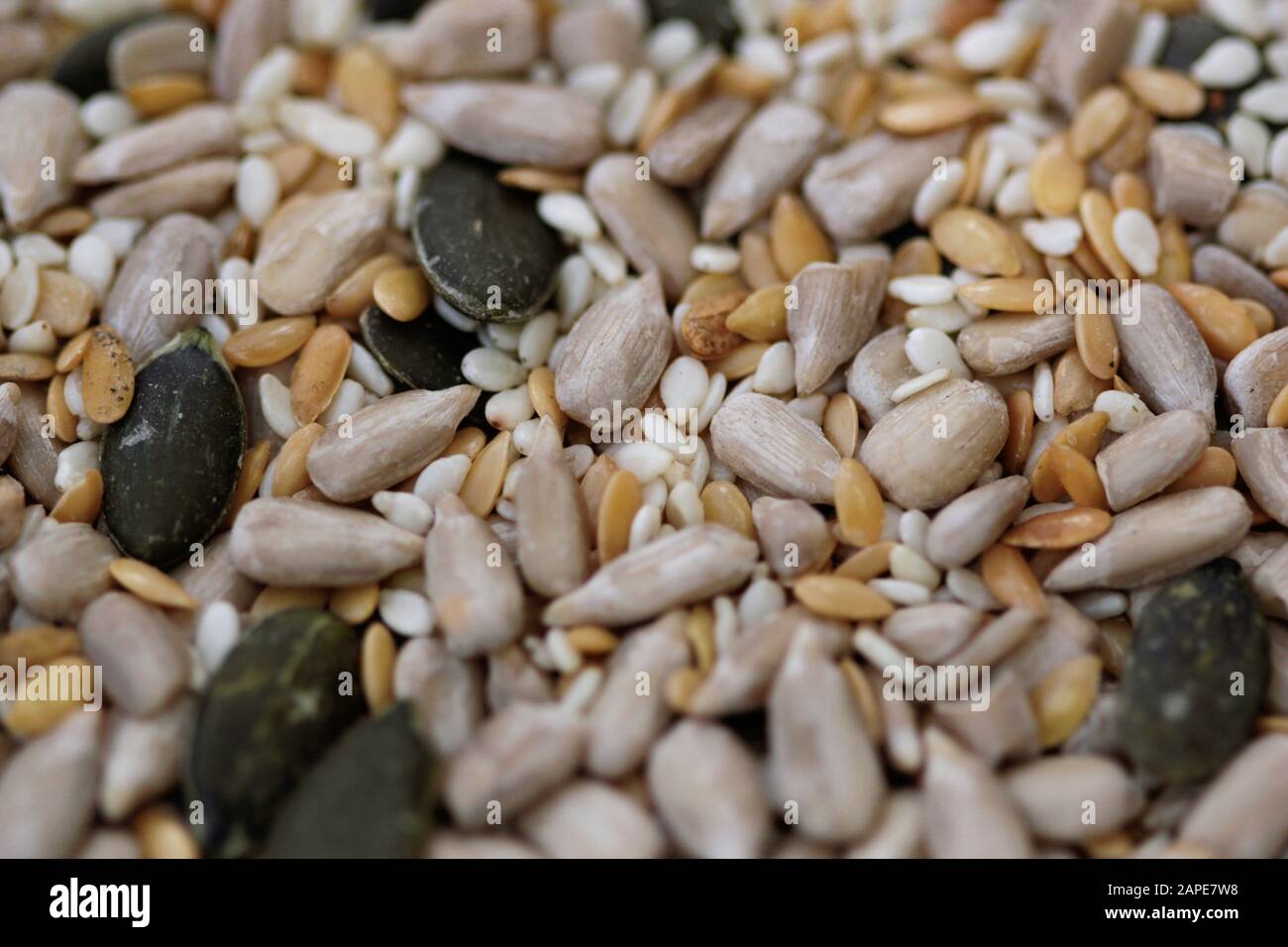 Mixed seeds pile isolated sunflower hi-res stock photography and images ...