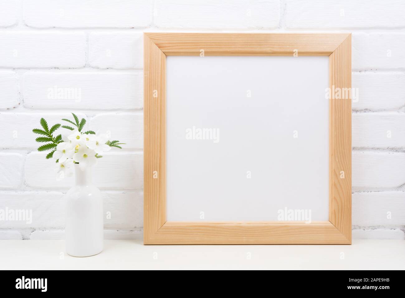 Wooden square picture frame mockup with flowering white Tobacco plant. Empty frame mock up with Nicotiana flowers for presentation design. Template fr Stock Photo
