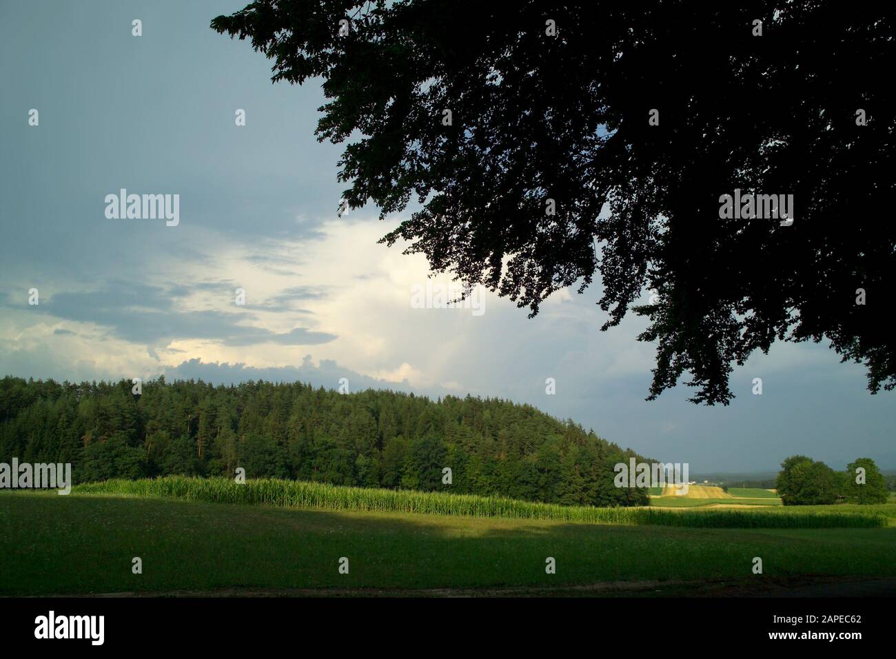 Steirische Landschaft Stock Photo