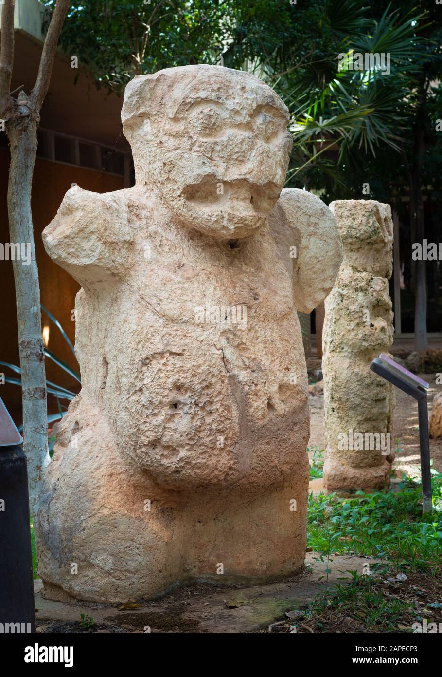 Late Classic period Maya sculpture at Dzibilchaltun archeological site, Yucatan. The sculpture shows a human figure with the head of a jaguar. Stock Photo