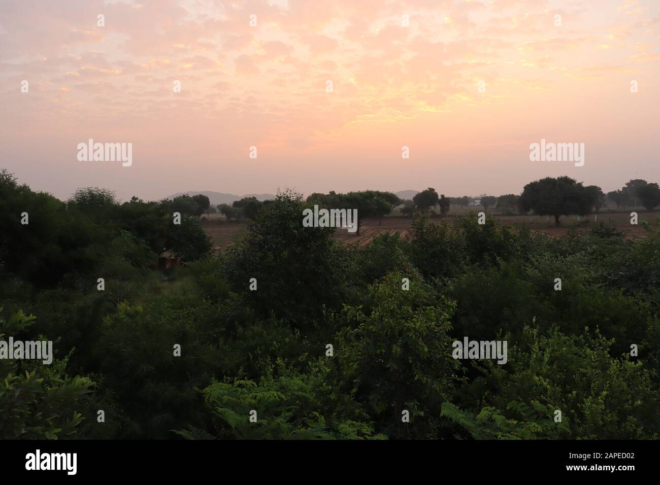 Sunset or sunrise sky panoramic photo cloud color background Stock ...