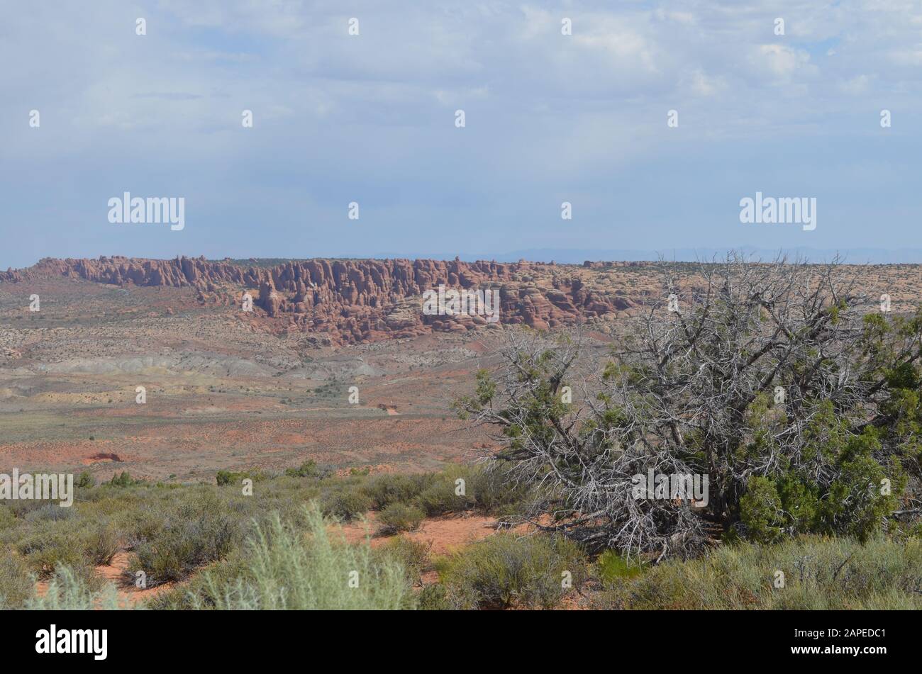 Early Summer in Utah: Looking Across Salt Valley to the Fiery Furnace From Panorama Point in Arches National Park Stock Photo