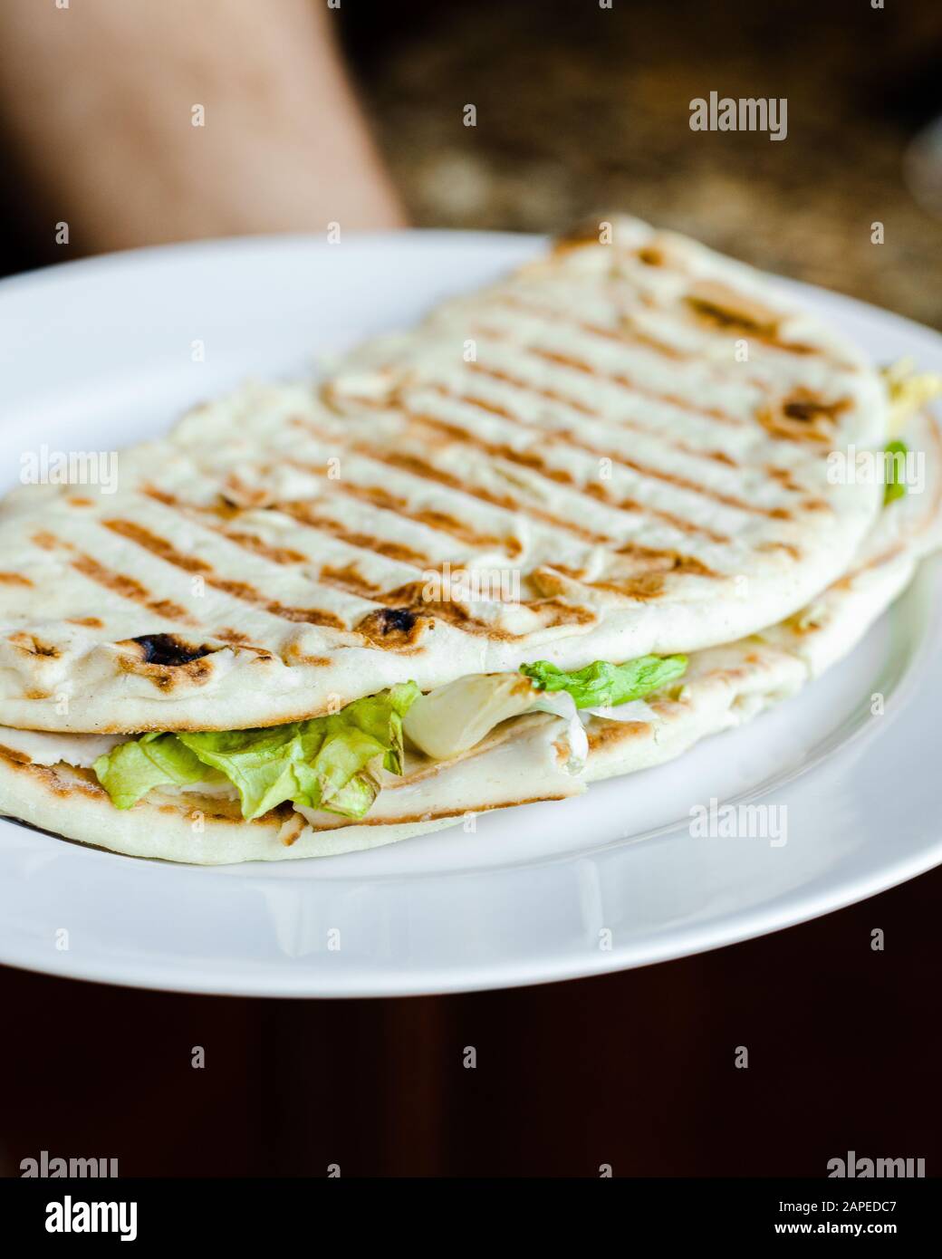 Panini grilled pita bread turkey swiss cheese lettuce sandwich on a white plate close up with a blurry background Stock Photo