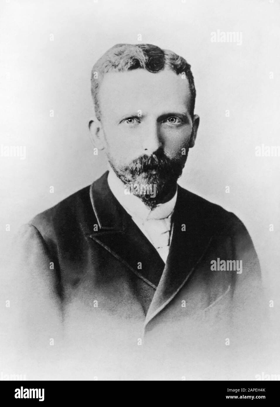 Theodorus 'Theo' van Gogh (1857–1891), Dutch art dealer and younger brother of the post-impressionist painter, Vincent van Gogh. Theo's unfailing financial and emotional support allowed Vincent to devote himself entirely to painting. (Photo: 1889 by Woodbury & Page, Amsterdam.) Stock Photo