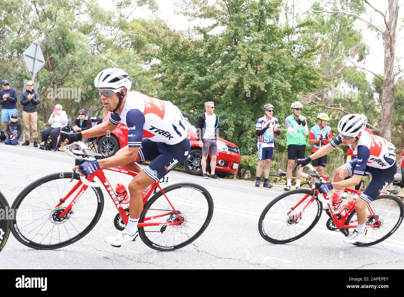 Adelaide Hills, Australia. 23 January 2020. Eventual winner Richie Porte (AUS) from the Trek-Segafredo (USA) Team (left, number 11) on stage 3 of the Tour Down Under cycling race passing through the Houghton area of the Adelaide Hills in Australia. Credit: Russell Mountford/Alamy Live News. Stock Photo