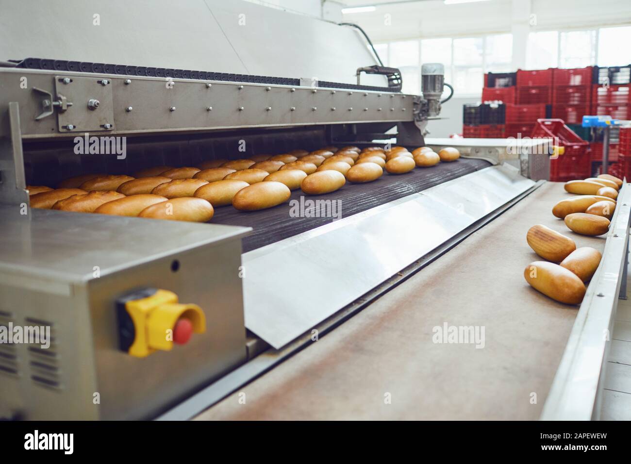 Automatic bakery production line with bread in bakery factory Stock