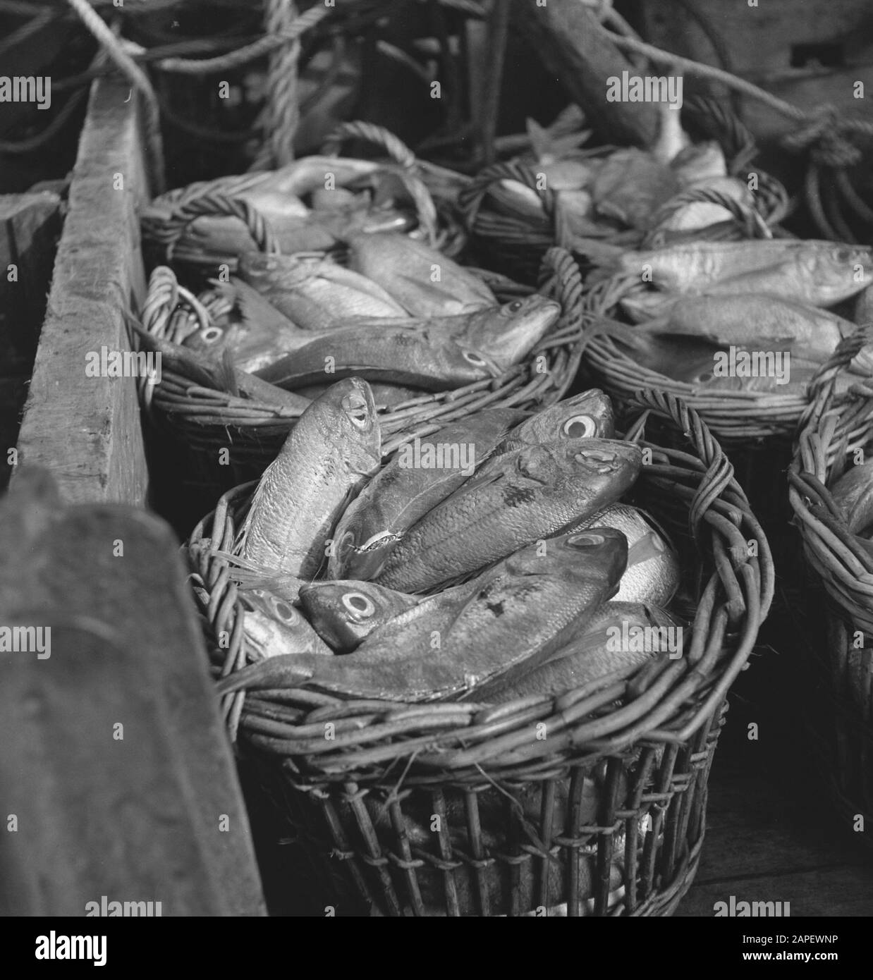 Fish baskets Black and White Stock Photos & Images - Alamy