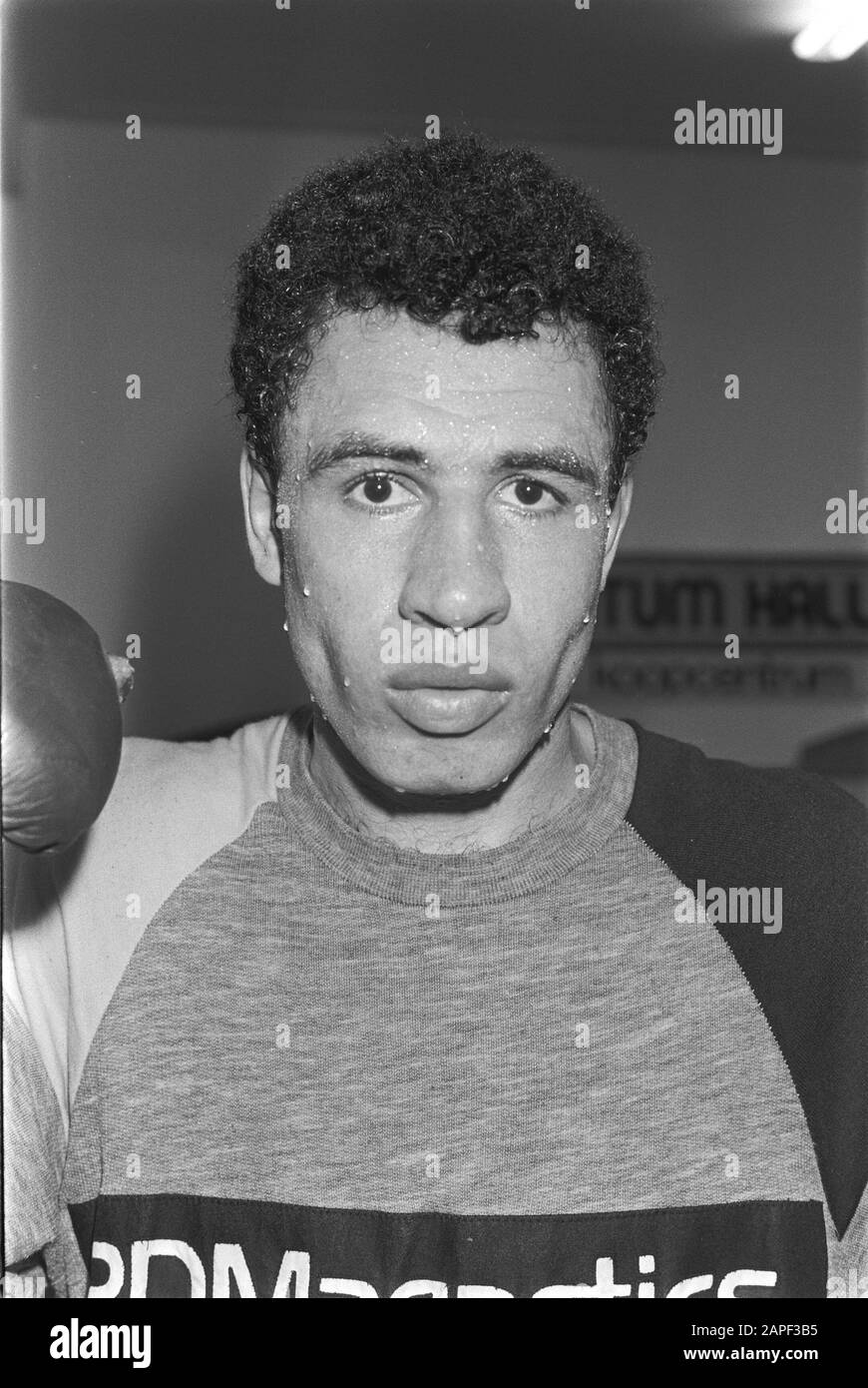 Boxer alex blanchard hi-res stock photography and images - Alamy
