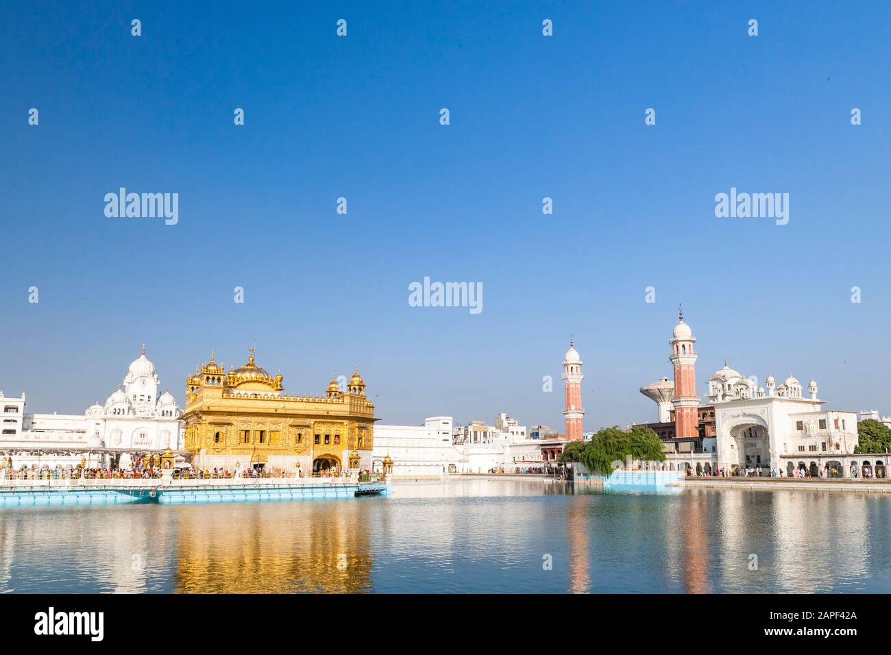 Golden temple of Sikh, also Harmandir Sahib, holiest Gurdwara of Sikhism, Amritsar, india, South Asia, Asia Stock Photo