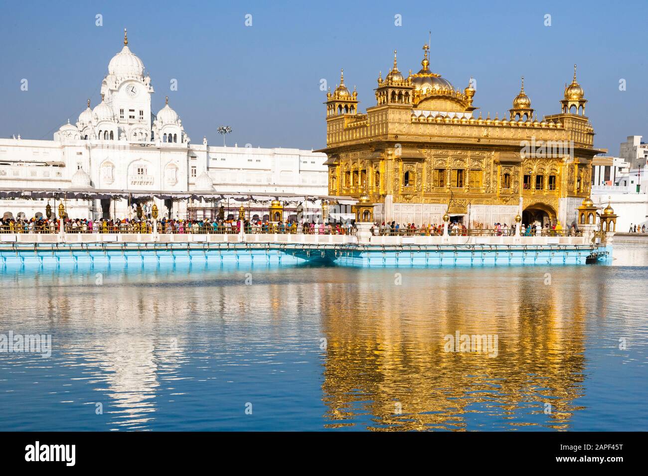 Golden temple of Sikh, also Harmandir Sahib, holiest Gurdwara of Sikhism, Amritsar, india, South Asia, Asia Stock Photo