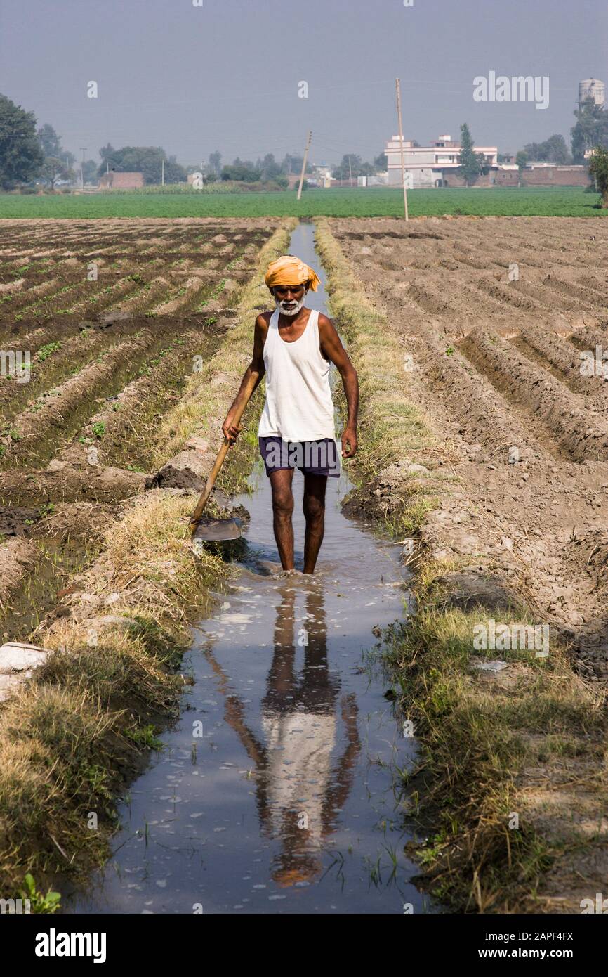 Repairing agricultural irrigation canal, Agricaltural fields of Punjab