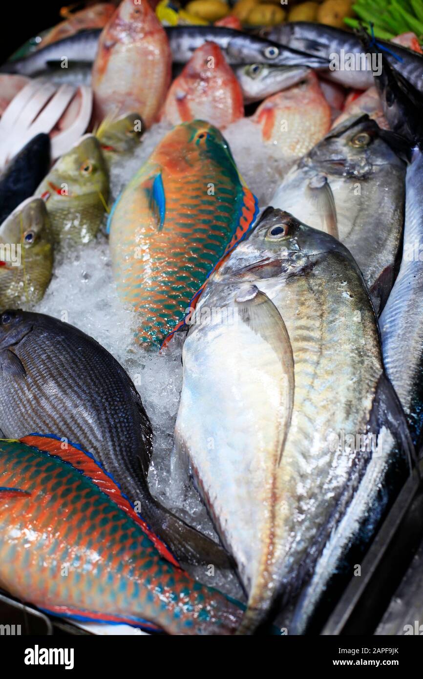 Fresh fish in ice on the market Stock Photo - Alamy