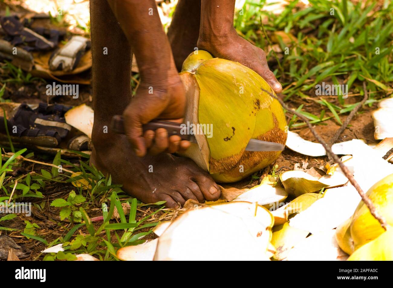 Zanzibar Tanzania 14/08/2010:   Processing and opening of the coconut Stock Photo
