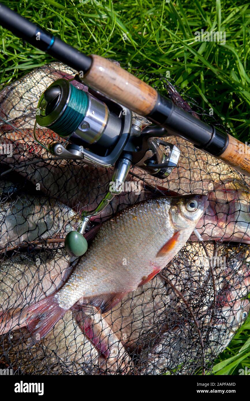 freshwater fishing pole