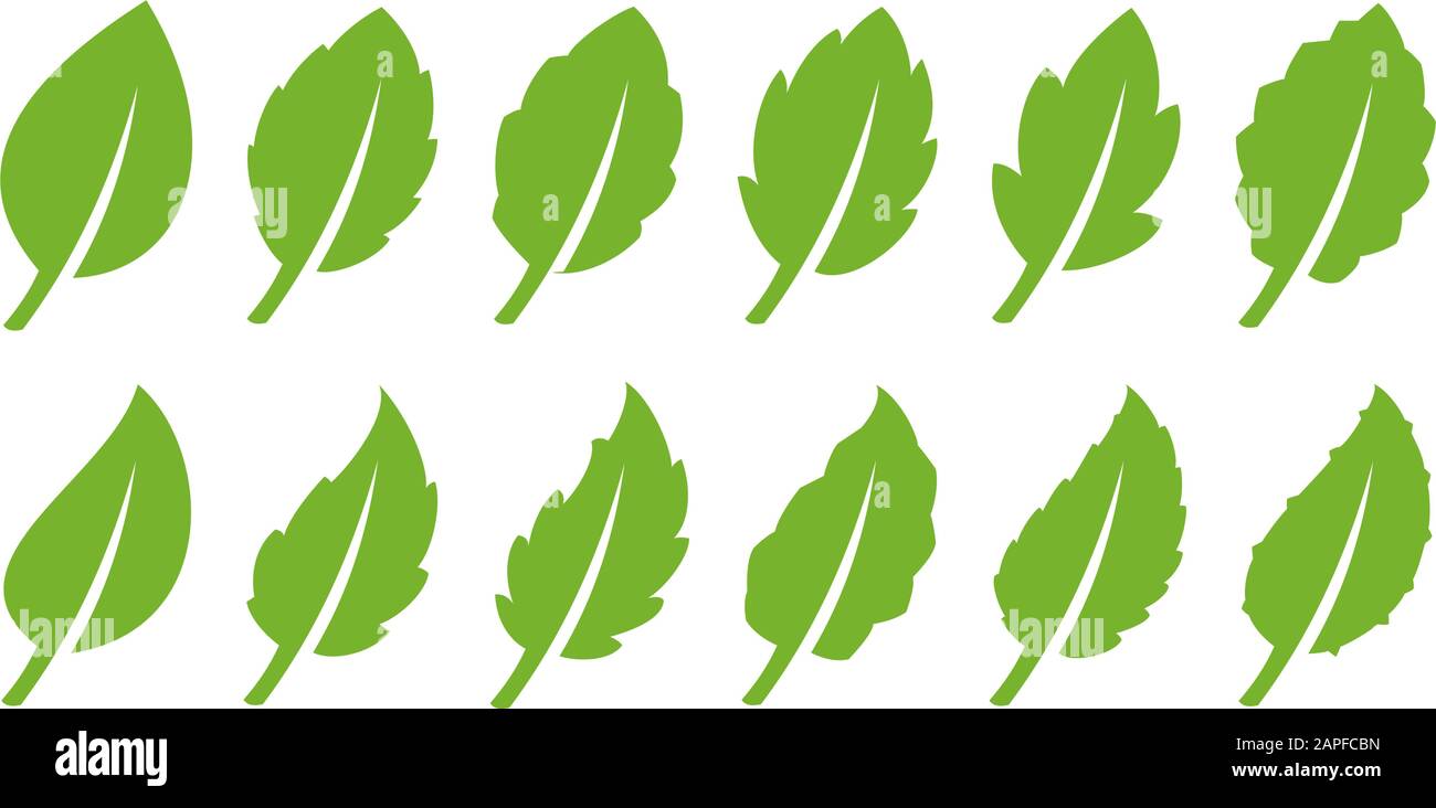 Green leaf set Stock Vector Image & Art - Alamy
