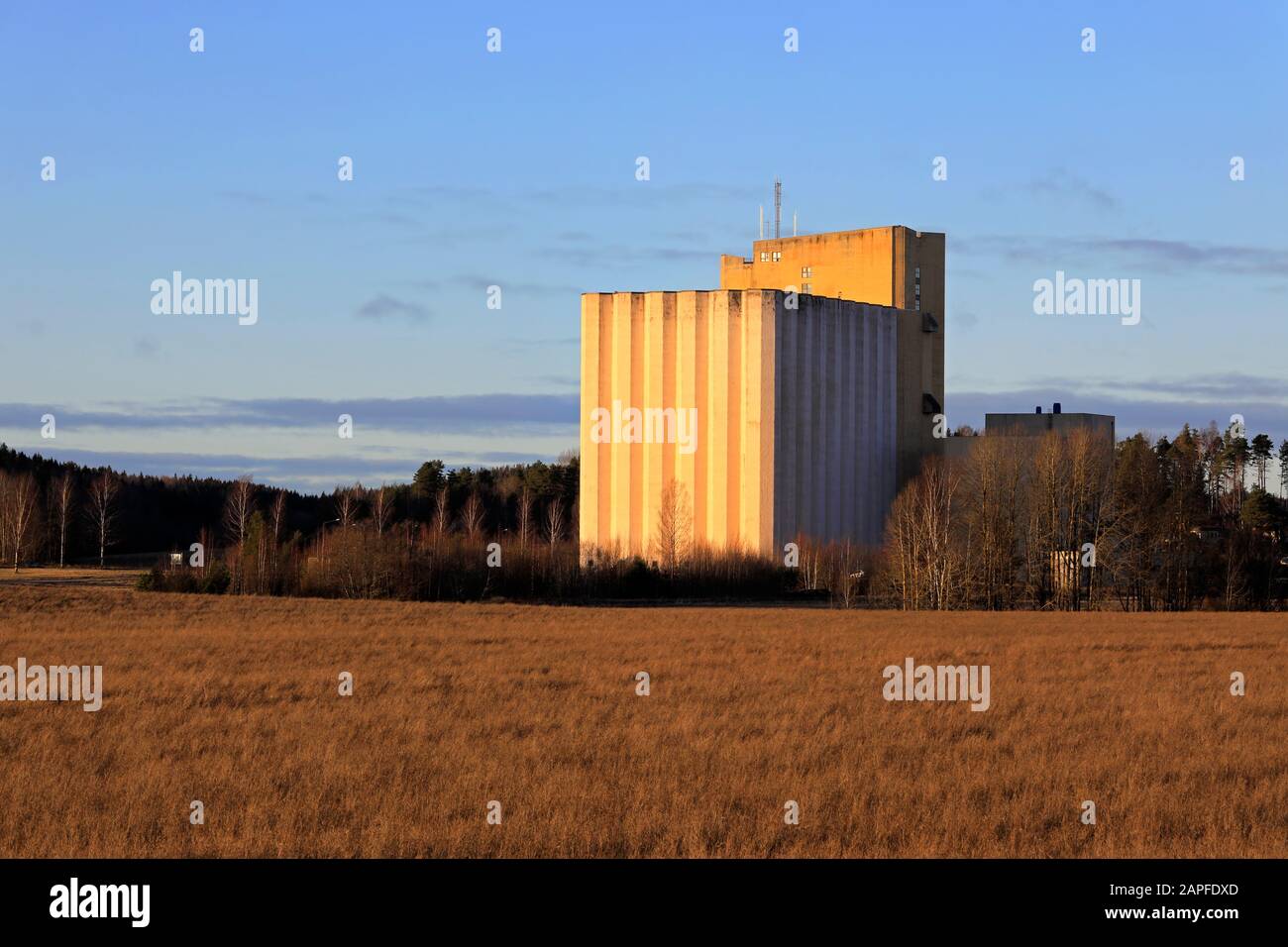 Pernio Granary, grain elevator of Suomen Viljava Oy seen across fields in golden light of sunset. This landmark in Salo is owned by State of Finland. Stock Photo