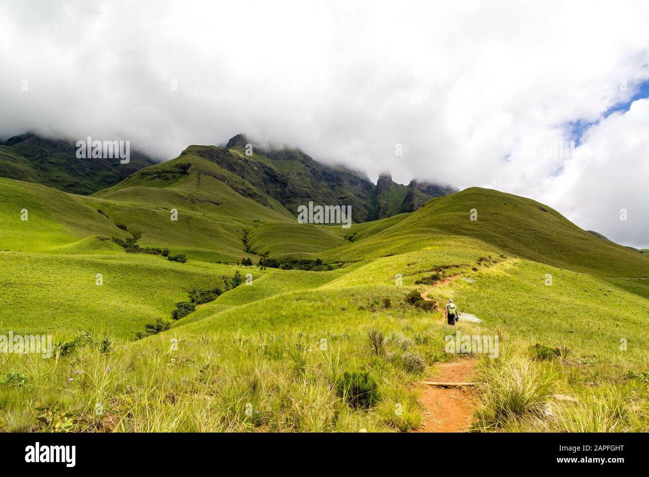 A hiking man on a small path leading to Blindman's Corner, green meadows and soft green mountains, Monk's Cowl, Champagne Castle and Cathkin Peak shro Stock Photo