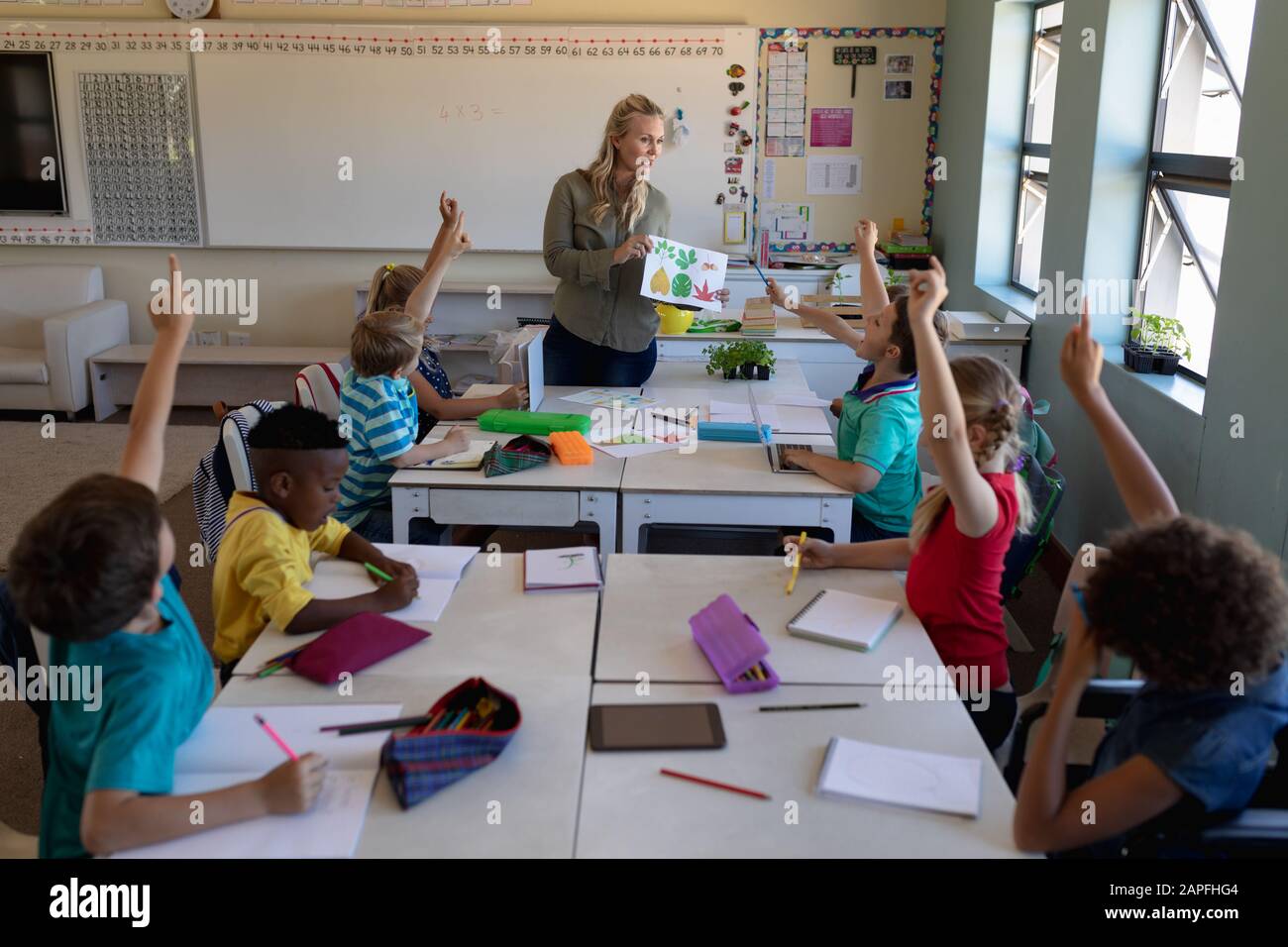 Female teacher and a group of schoolchildren sitting at desks in an ...