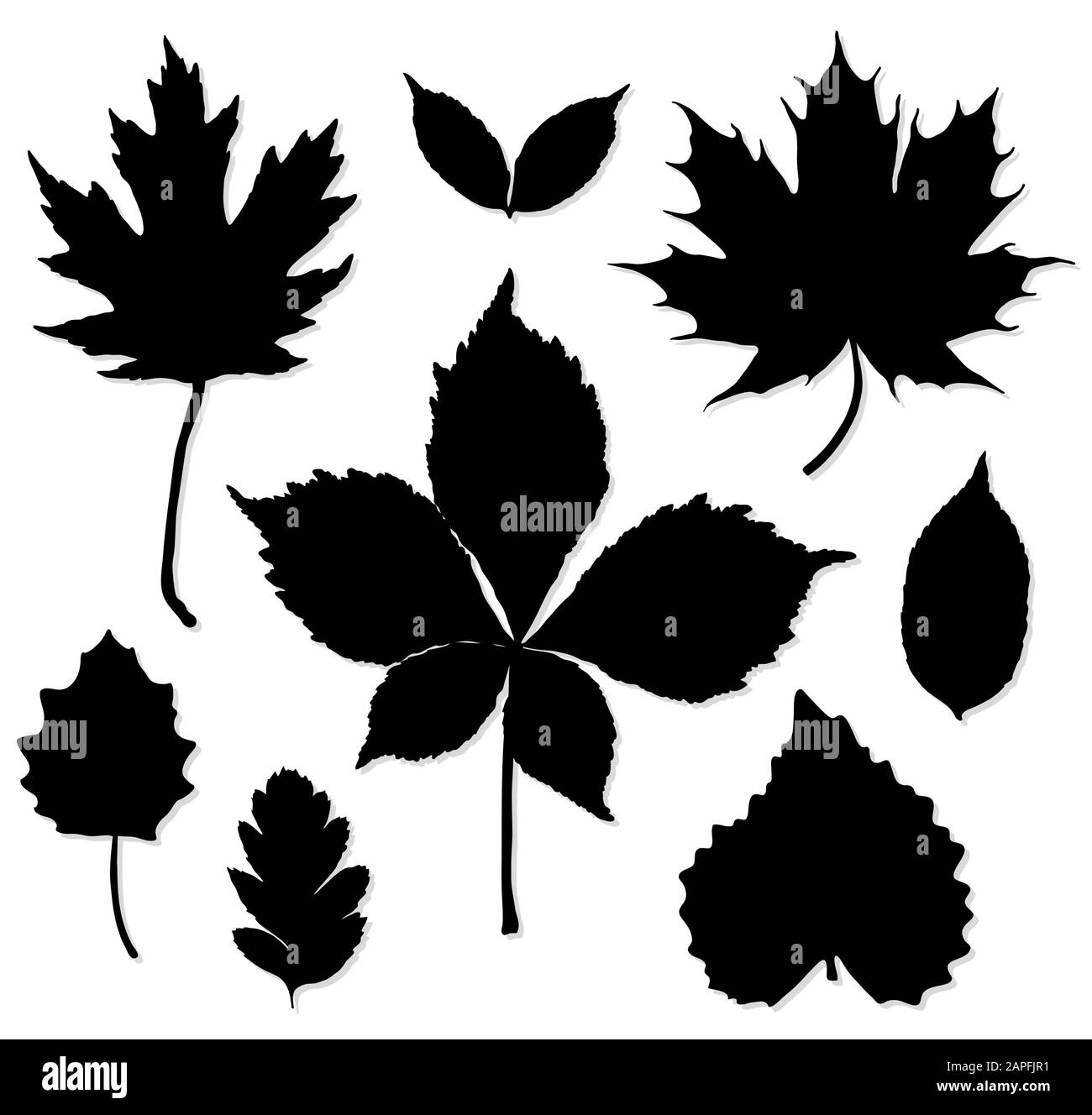 Vector set of leaves silhouette on white background Stock Vector Image ...