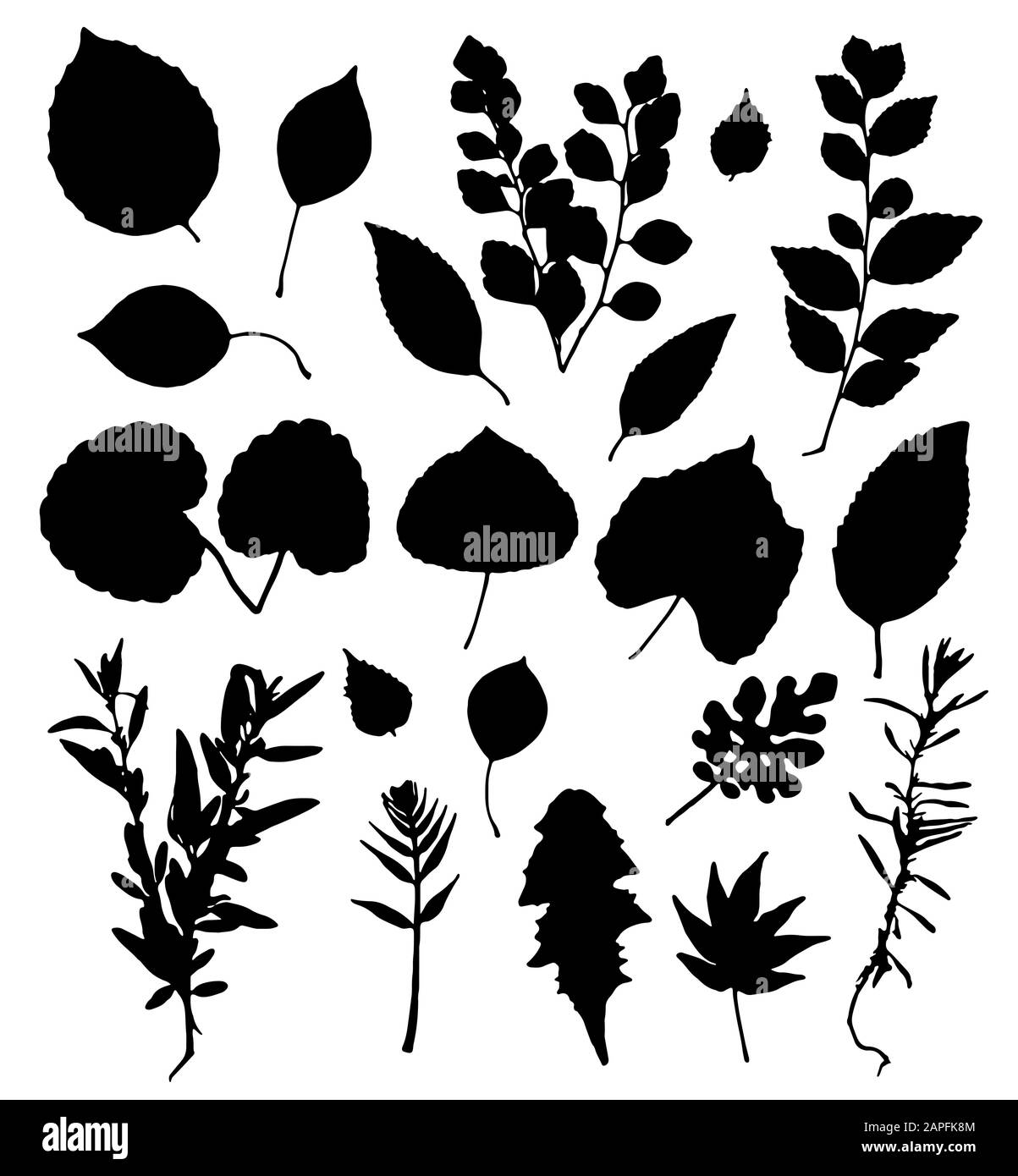 Vector set of leaves silhouette Stock Vector Image & Art - Alamy